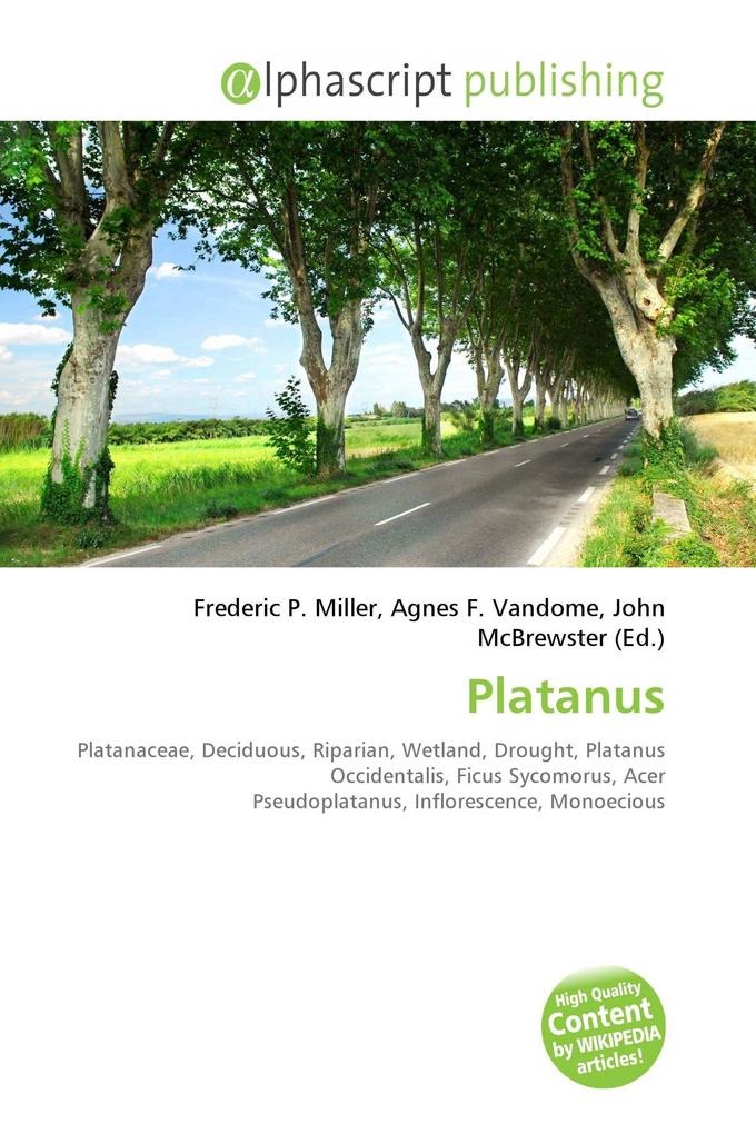 Platanus