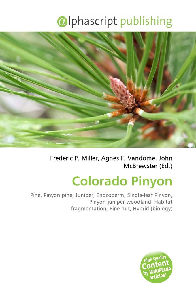 Colorado Pinyon