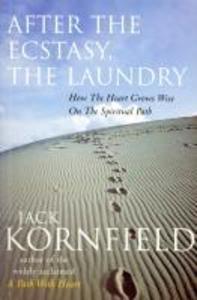 Ebury Publishing After The Ecstasy The Laundry