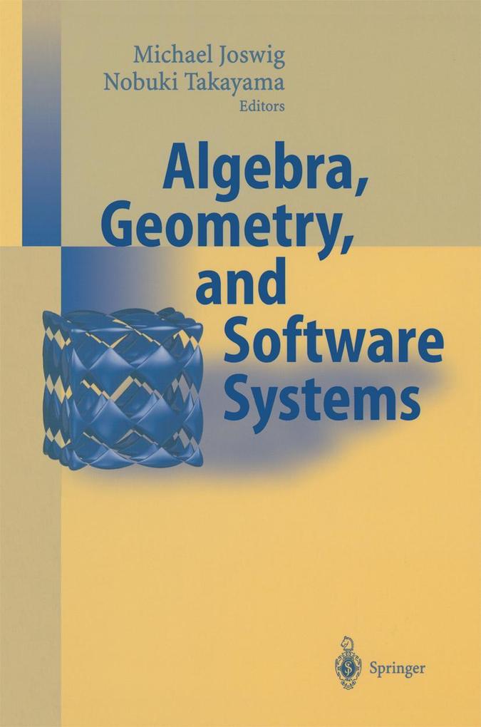 Algebra Geometry and Software Systems