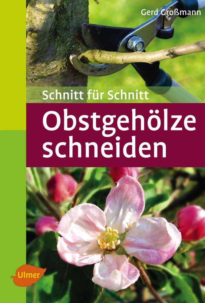 Obstgehölze schneiden: Schnitt für Schnitt (Taschenatlanten) - Bild 5