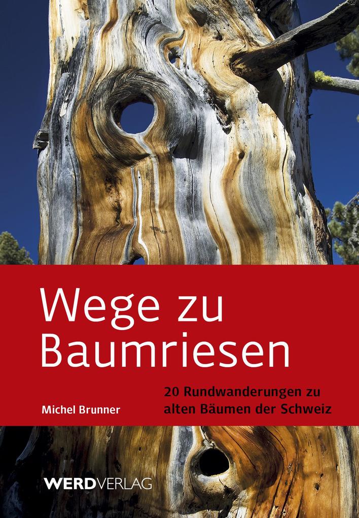 Wege zu Baumriesen - Michel Brunner