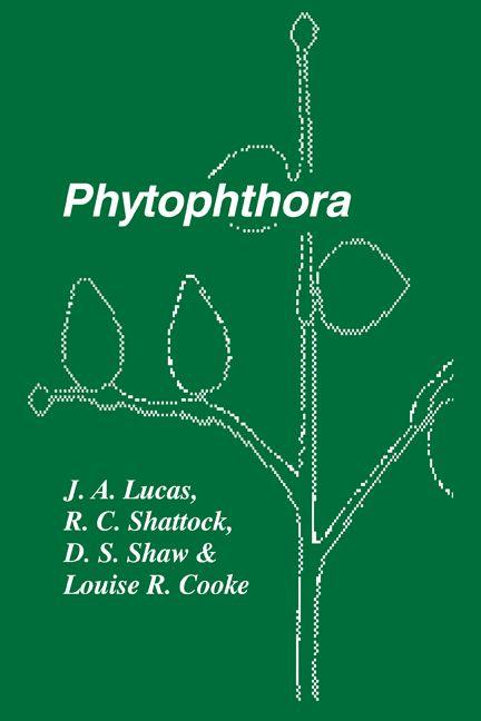 Phytophthora