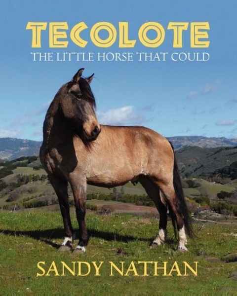 Tecolote
