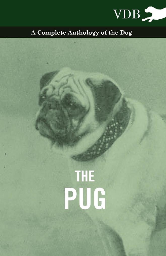 The Pug - A Complete Anthology of the Dog als Taschenbuch von Various
