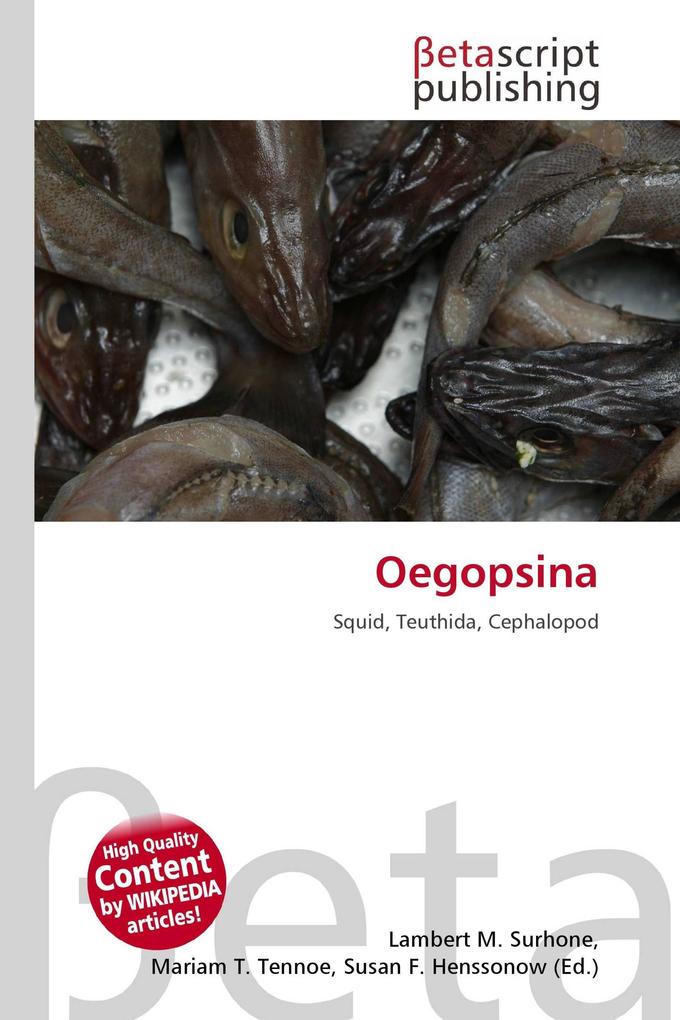 Oegopsina