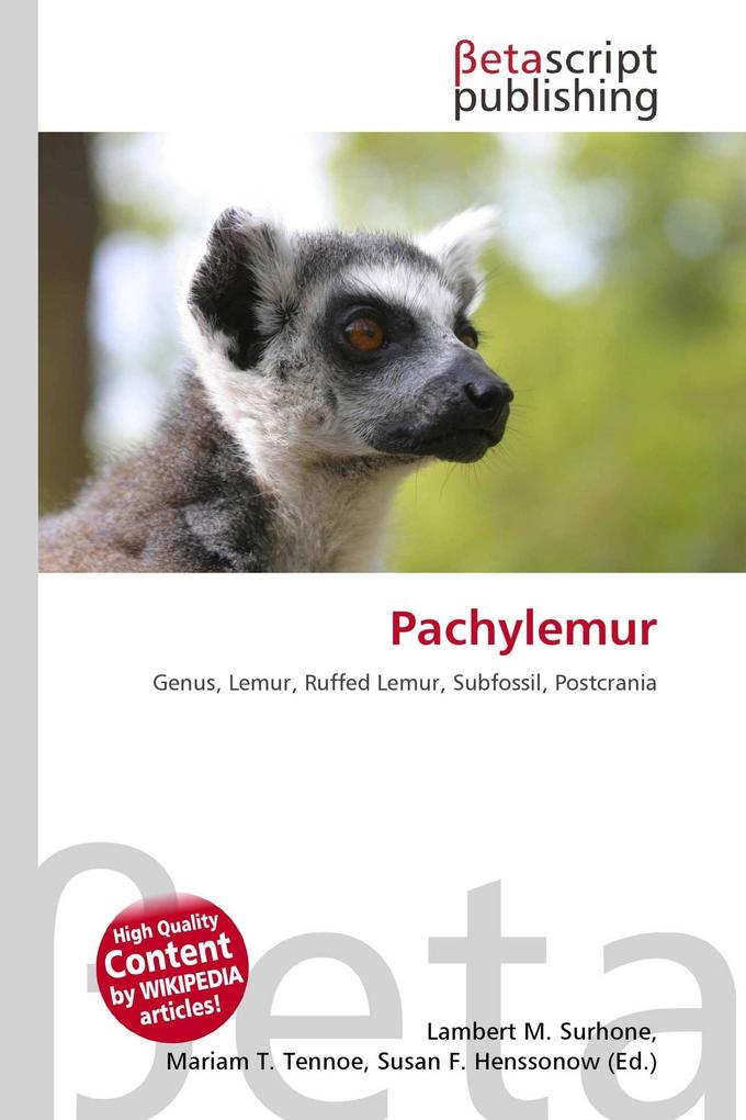 Pachylemur