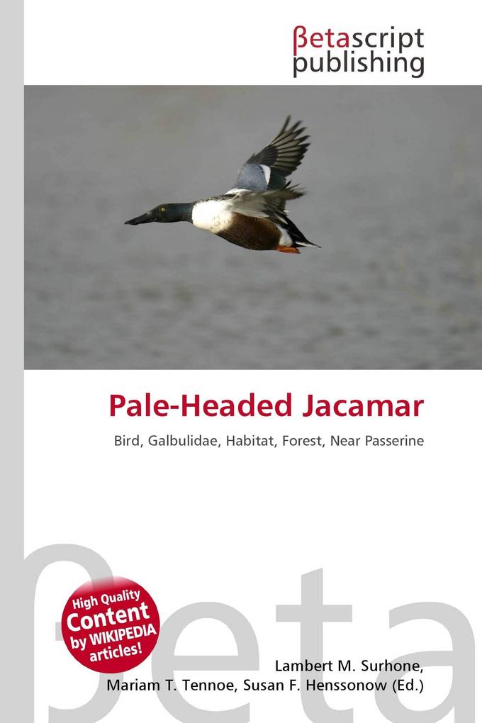 Pale-Headed Jacamar
