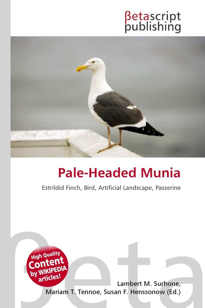 Pale-Headed Munia