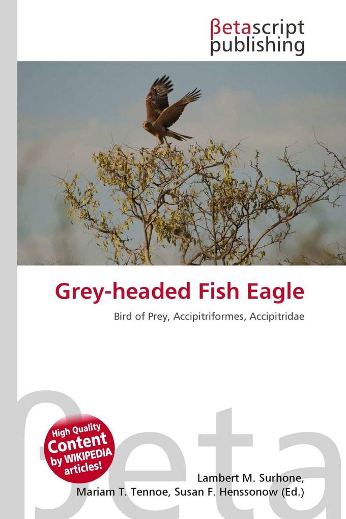 Grey-headed Fish Eagle