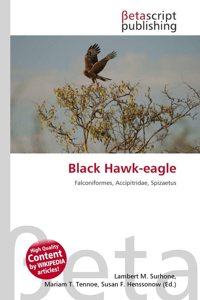 Black Hawk-eagle
