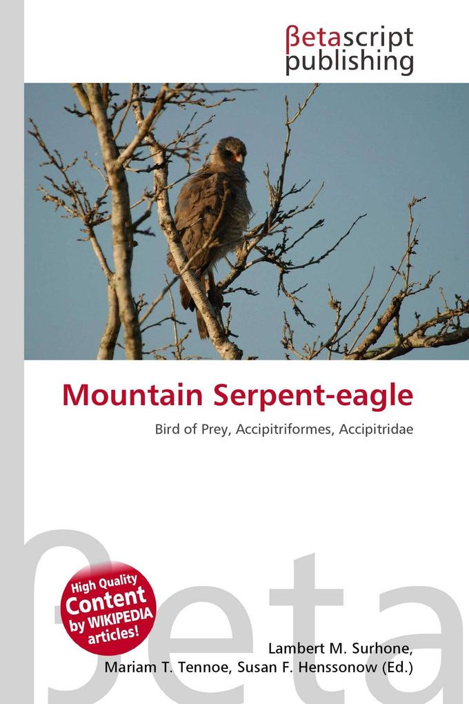 Mountain Serpent-eagle