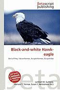 Black-and-white Hawk-eagle
