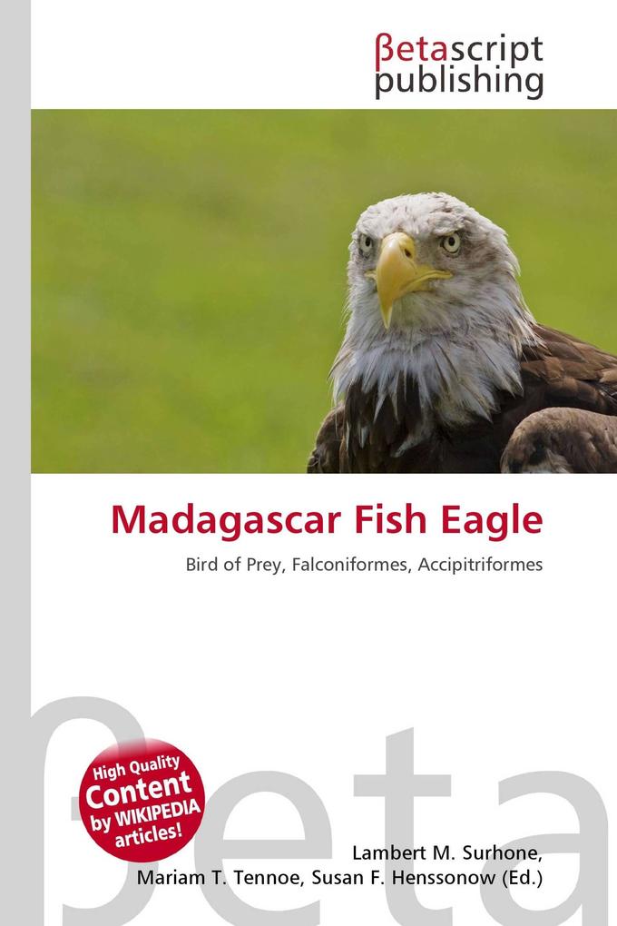 Madagascar Fish Eagle