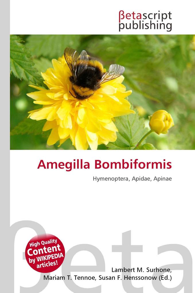 Amegilla Bombiformis