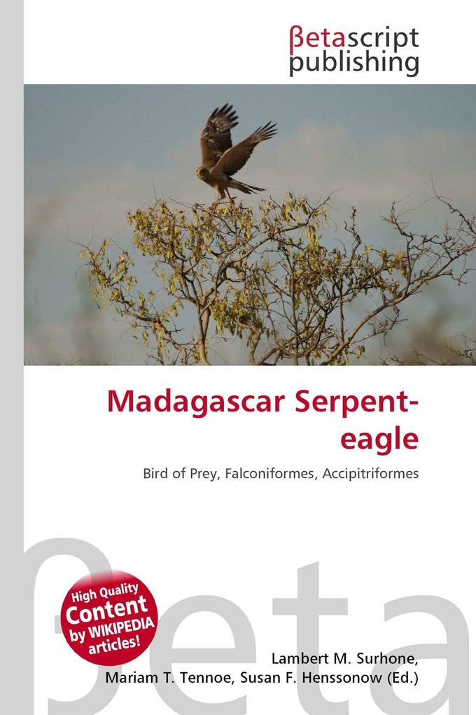 Madagascar Serpent-eagle