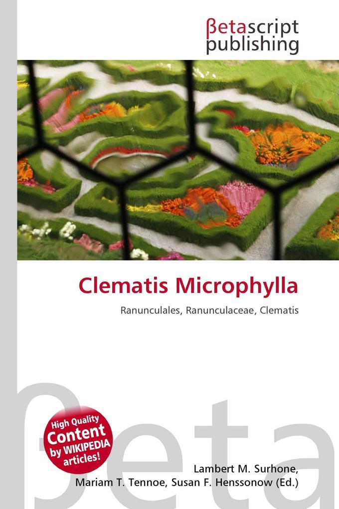 Clematis Microphylla