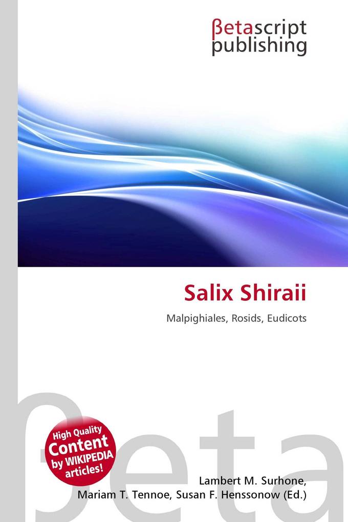 Salix Shiraii