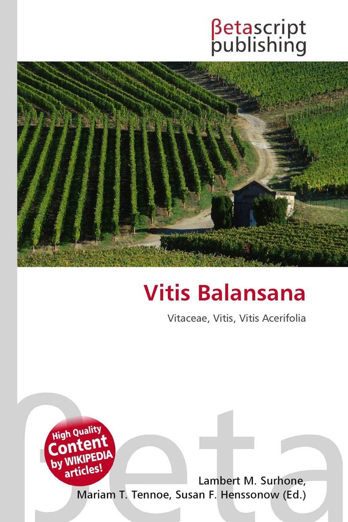 Vitis Balansana