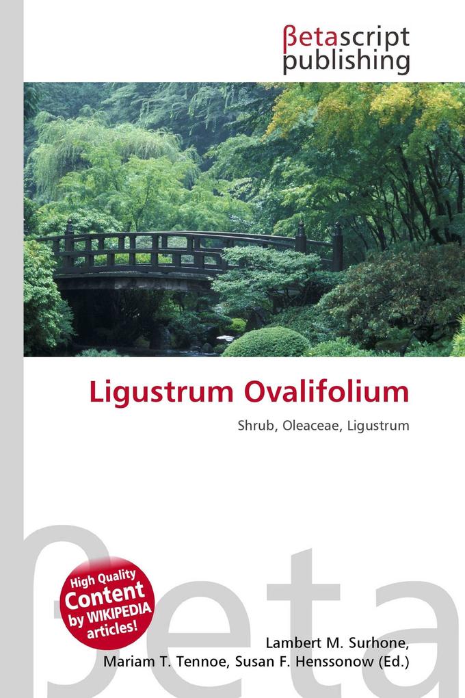 Ligustrum Ovalifolium