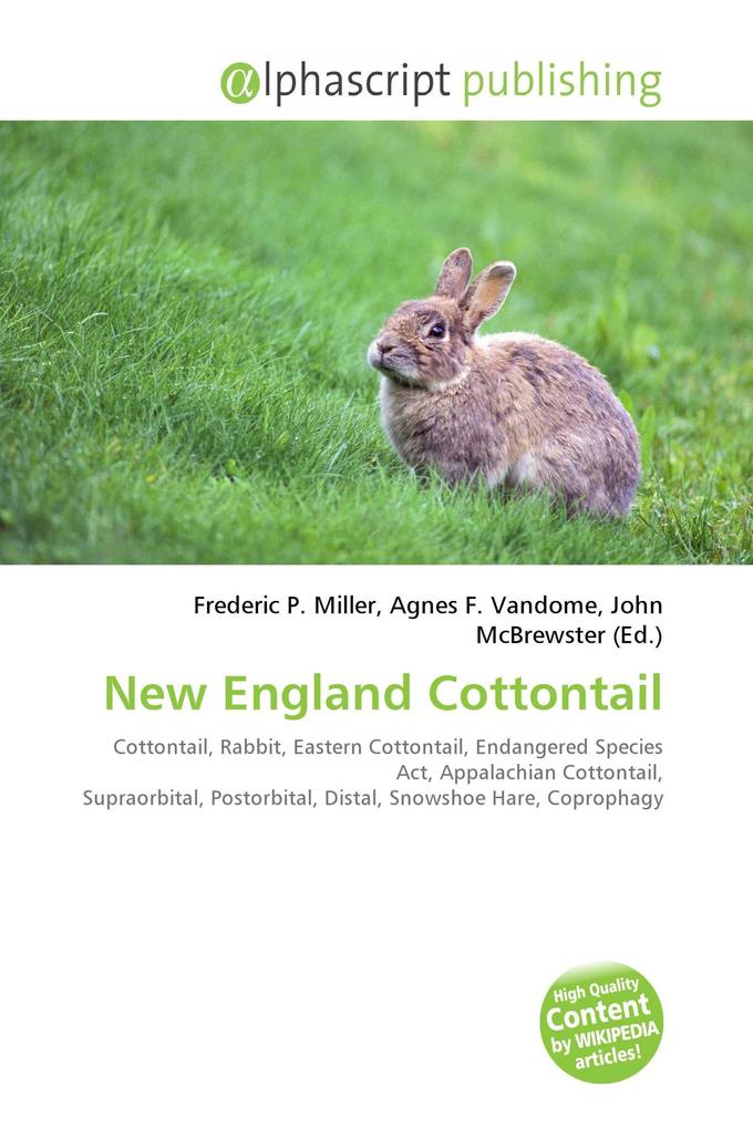 New England Cottontail