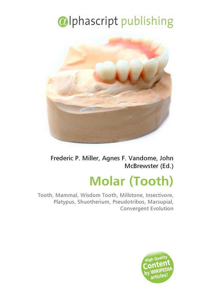 Molar (Tooth)