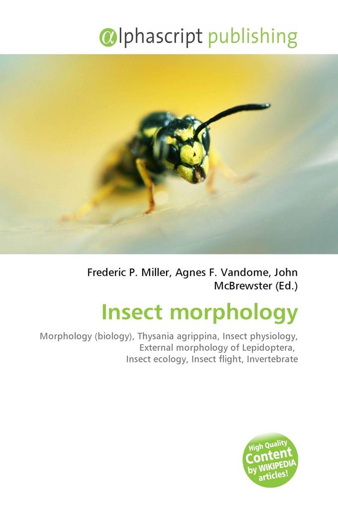 Insect morphology