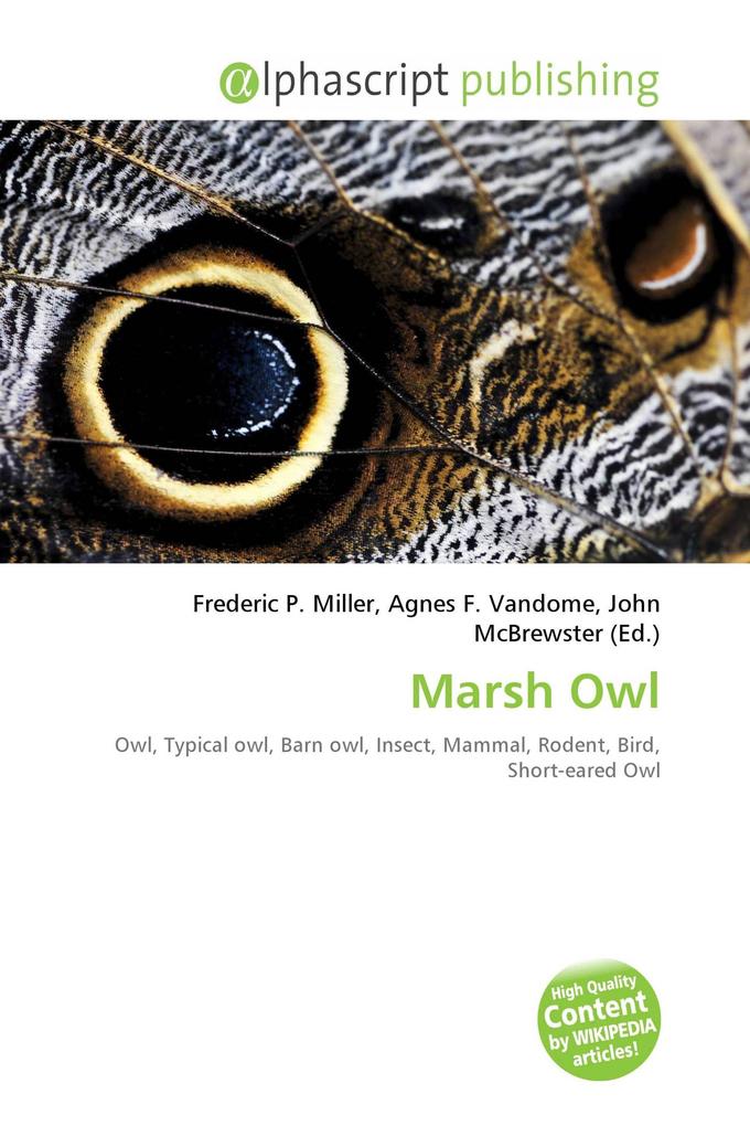 Marsh Owl