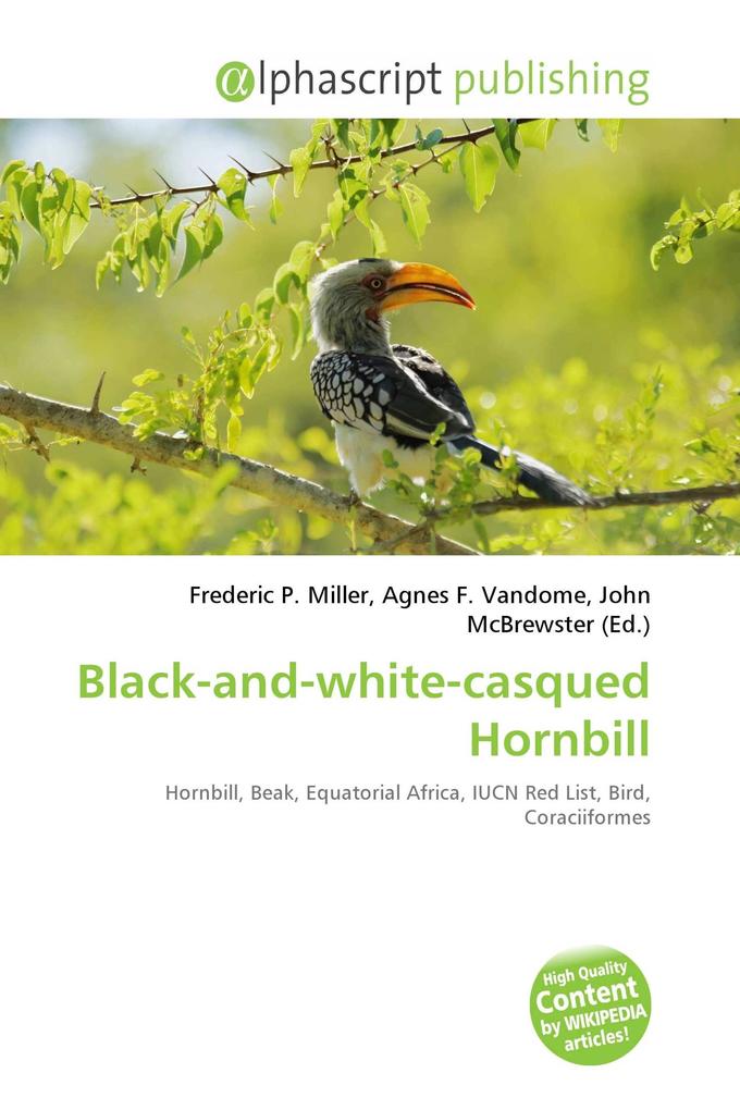 Black-and-white-casqued Hornbill