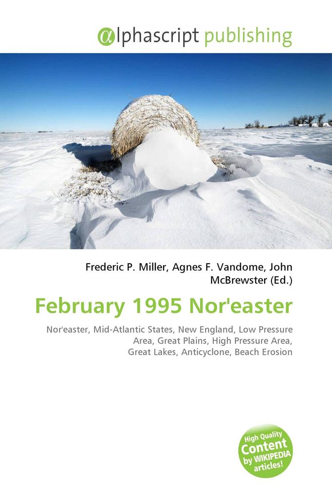 February 1995 Nor'easter