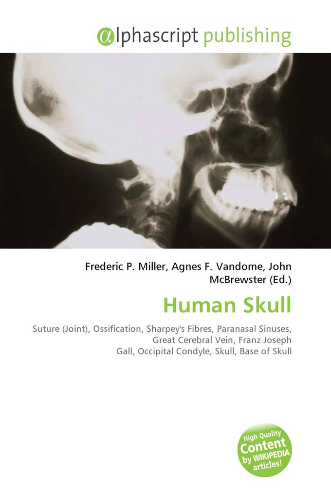 Human Skull