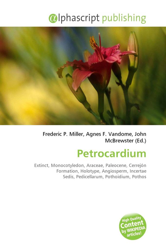 Petrocardium