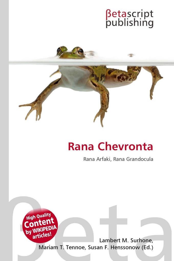 Rana Chevronta
