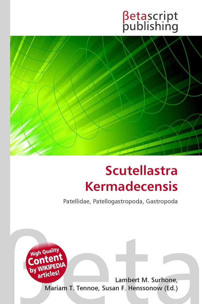 Scutellastra Kermadecensis