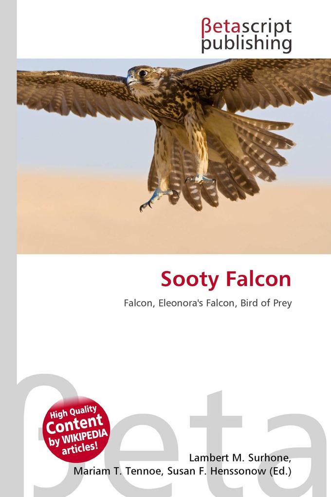 Sooty Falcon