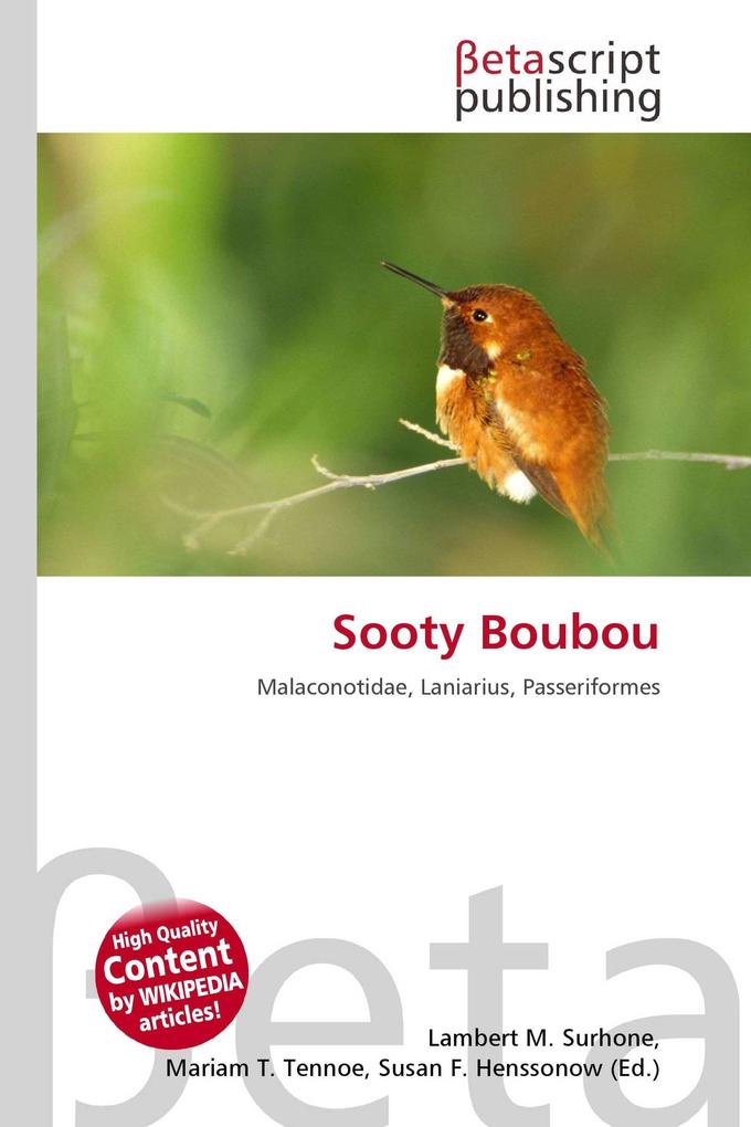Sooty Boubou