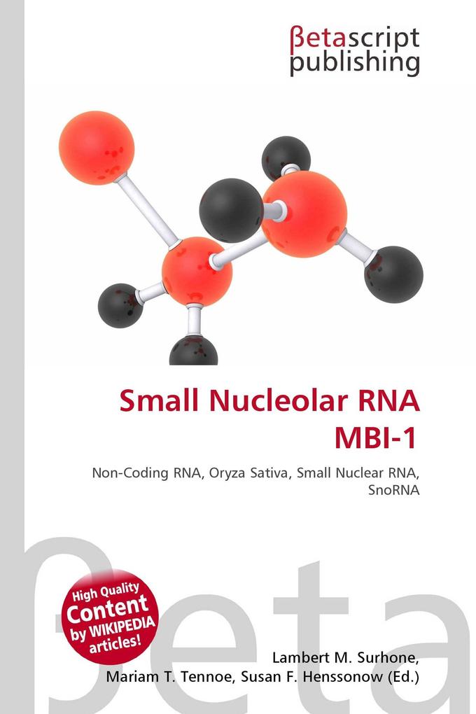 Small Nucleolar RNA MBI-1