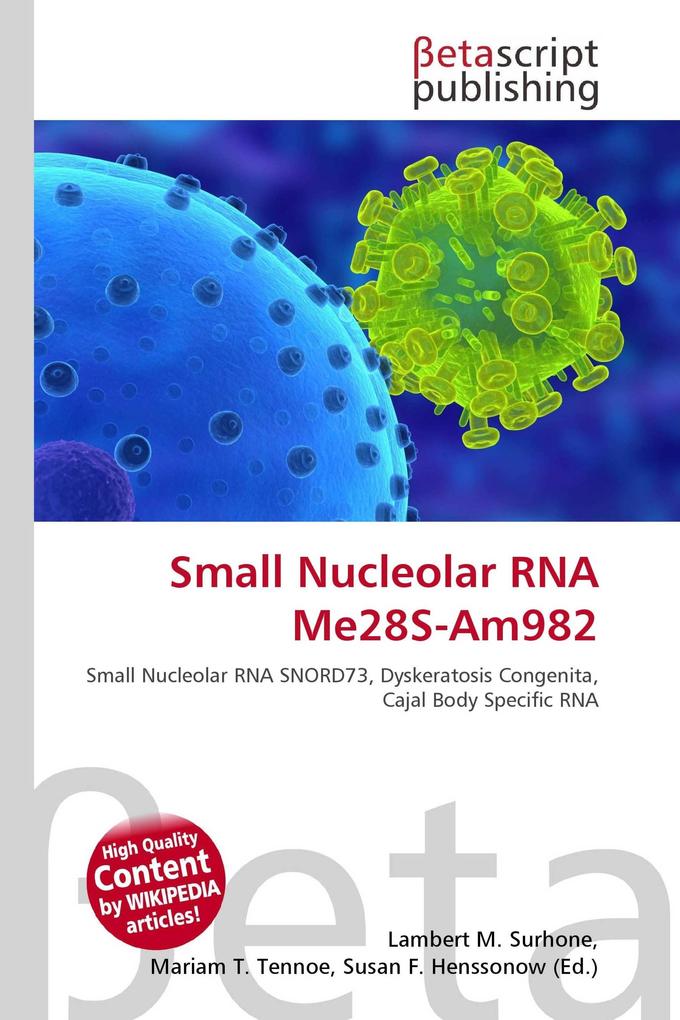 Small Nucleolar RNA Me28S-Am982