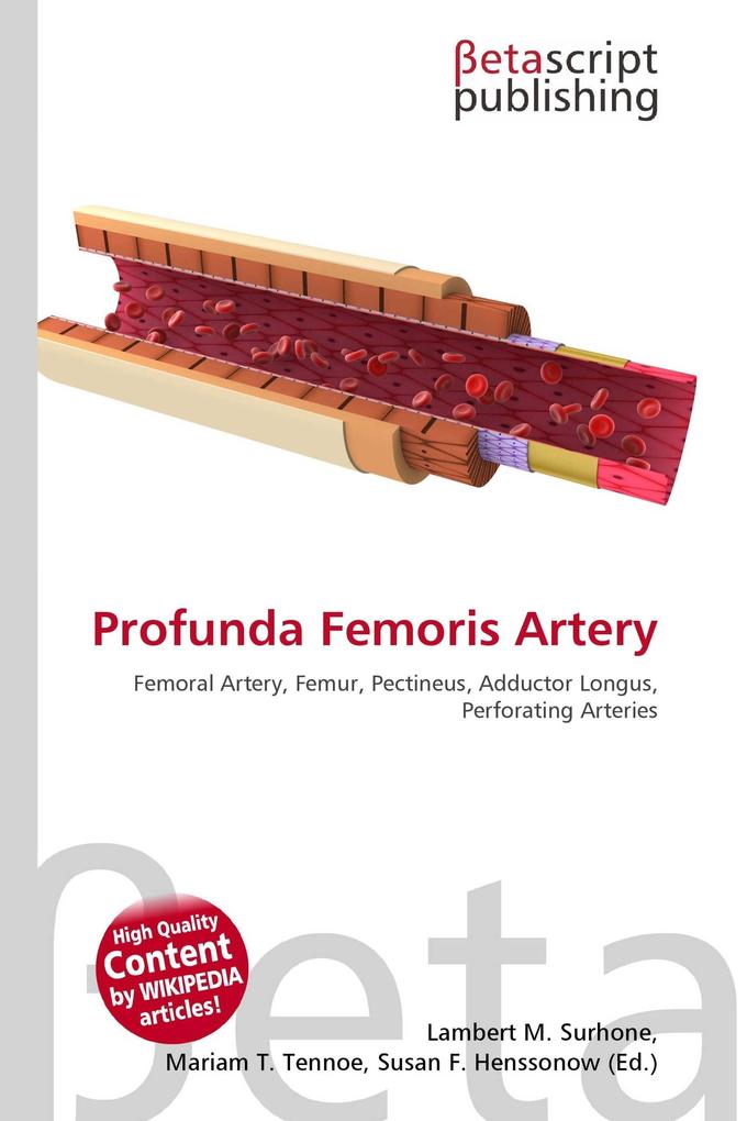 Profunda Femoris Artery