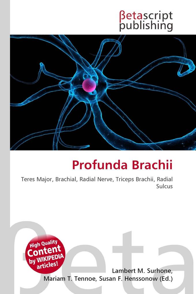 Profunda Brachii