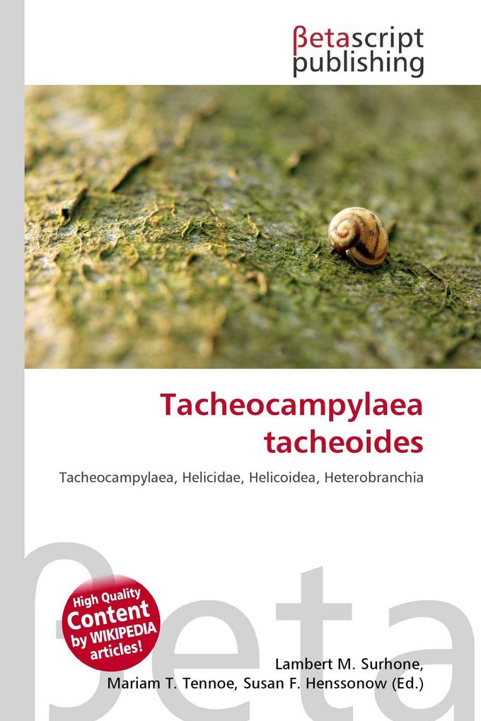 Tacheocampylaea tacheoides