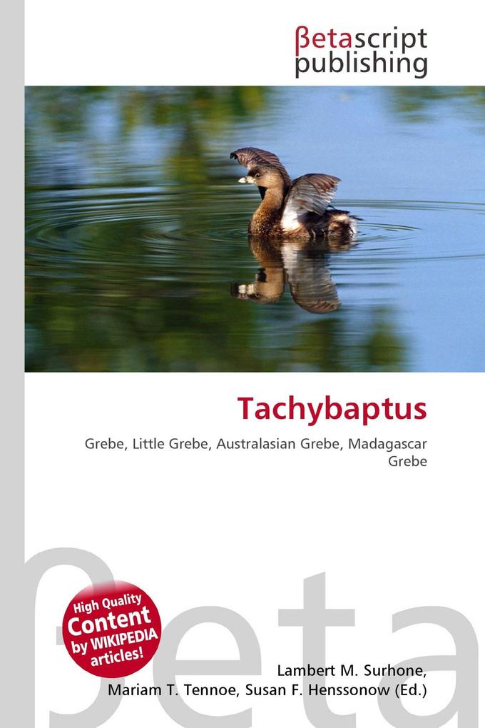 Tachybaptus