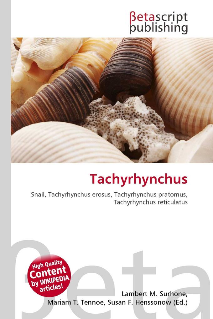 Tachyrhynchus