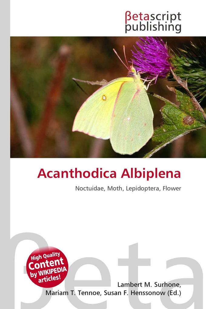 Acanthodica Albiplena