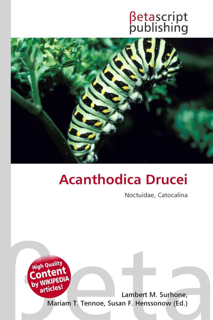 Acanthodica Drucei