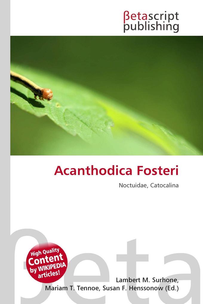 Acanthodica Fosteri