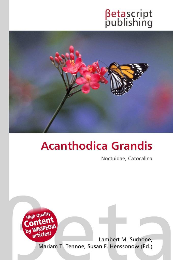 Acanthodica Grandis
