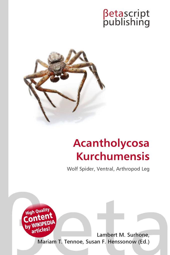 Acantholycosa Kurchumensis