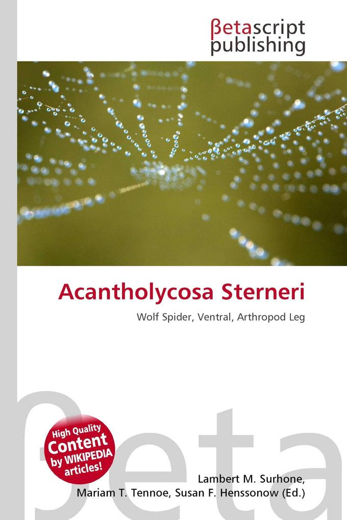 Acantholycosa Sterneri