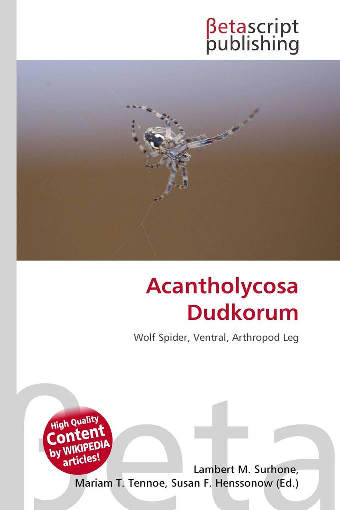Acantholycosa Dudkorum